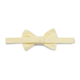 Baby Boys Collar Neck Roll Up Sleeve Shirt with Bow Tie, Waist Coat And Pant Set(4pcs pack)