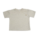 Baby Boys Drop Shoulder T-Shirt With Cargo Shorts(2pcs set)
