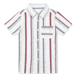 Boys Collar Neck Half Sleeve Shirt With Shorts(2pcs co-ord set)