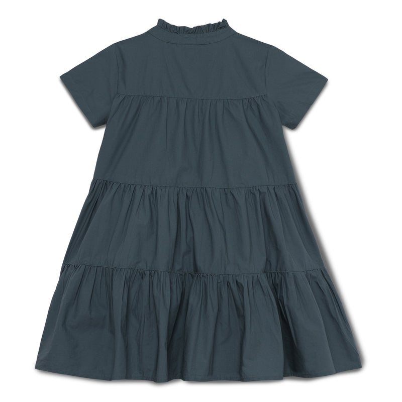 Kid Girls Frill Neck Half Sleeve Layered Dress