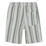 Boys Collar Neck Half Sleeve Shirt With Shorts(2pcs co-ord set)