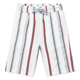 Boys Collar Neck Half Sleeve Shirt With Shorts(2pcs co-ord set)
