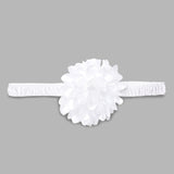 Baby Girls White Party Wear Set
