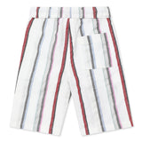 Boys Collar Neck Half Sleeve Shirt With Shorts(2pcs co-ord set)