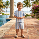 Baby Boys Drop Shoulder T Shirt With Shorts (2Pcs Set)