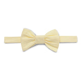 Baby Boys Collar Neck Roll Up Sleeve Shirt with Bow Tie, Waist Coat And Pant Set(4pcs pack)