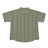 Baby Boys Olive Drop Shoulder Half Sleeve Shirt